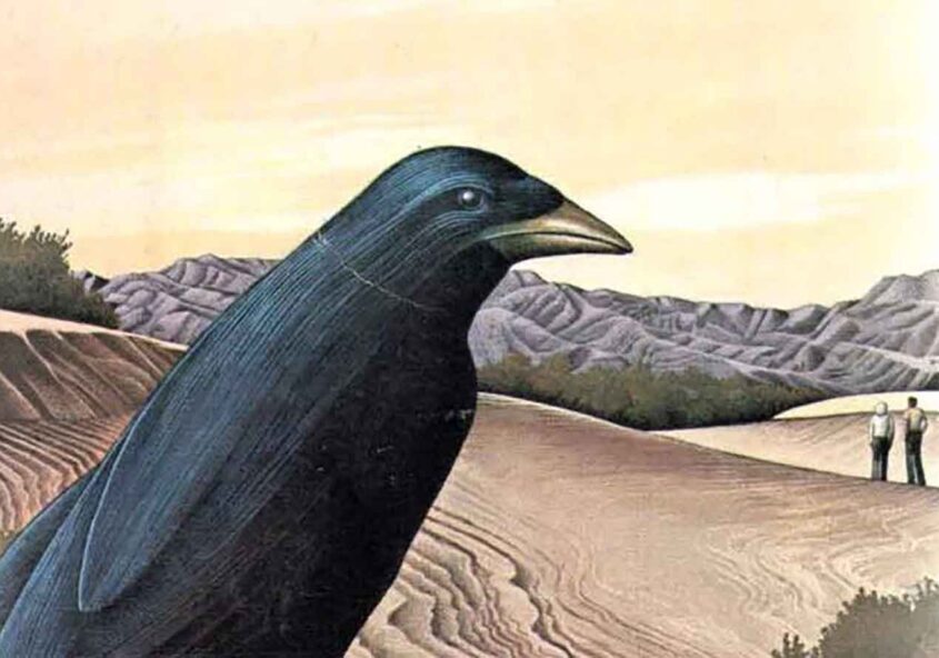 شمنیزم تولتک