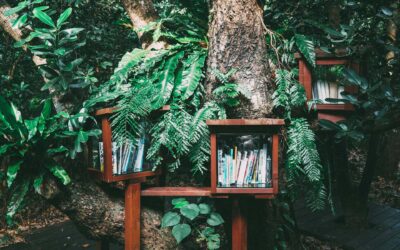 بذرهای سبز را بکارید تا بهشت شود